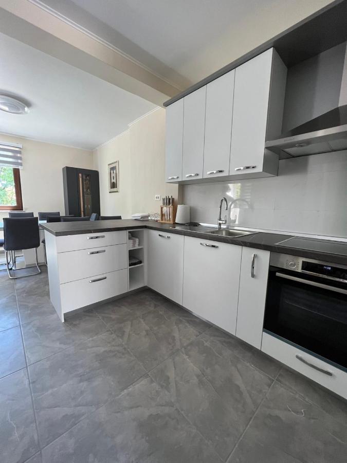 Apartman David Rijeka Bagian luar foto