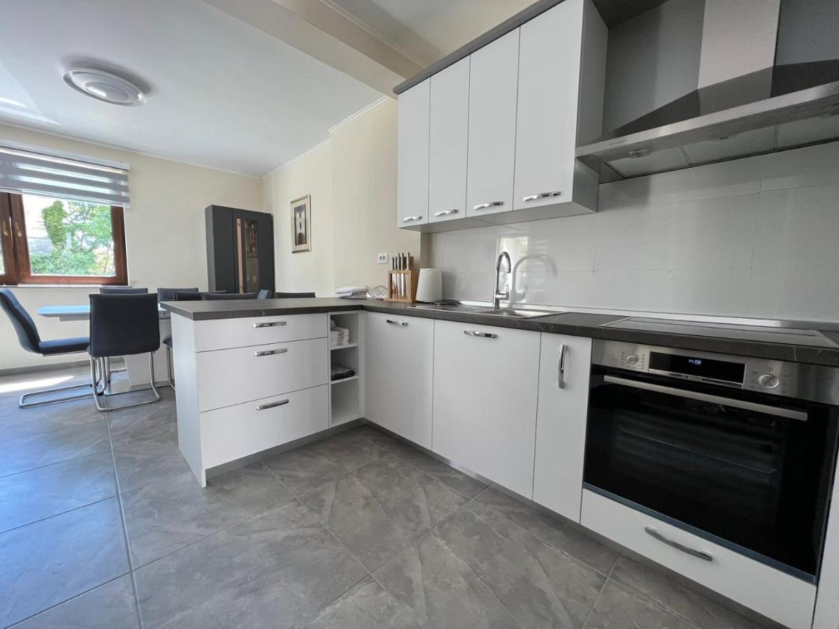 Apartman David Rijeka Bagian luar foto